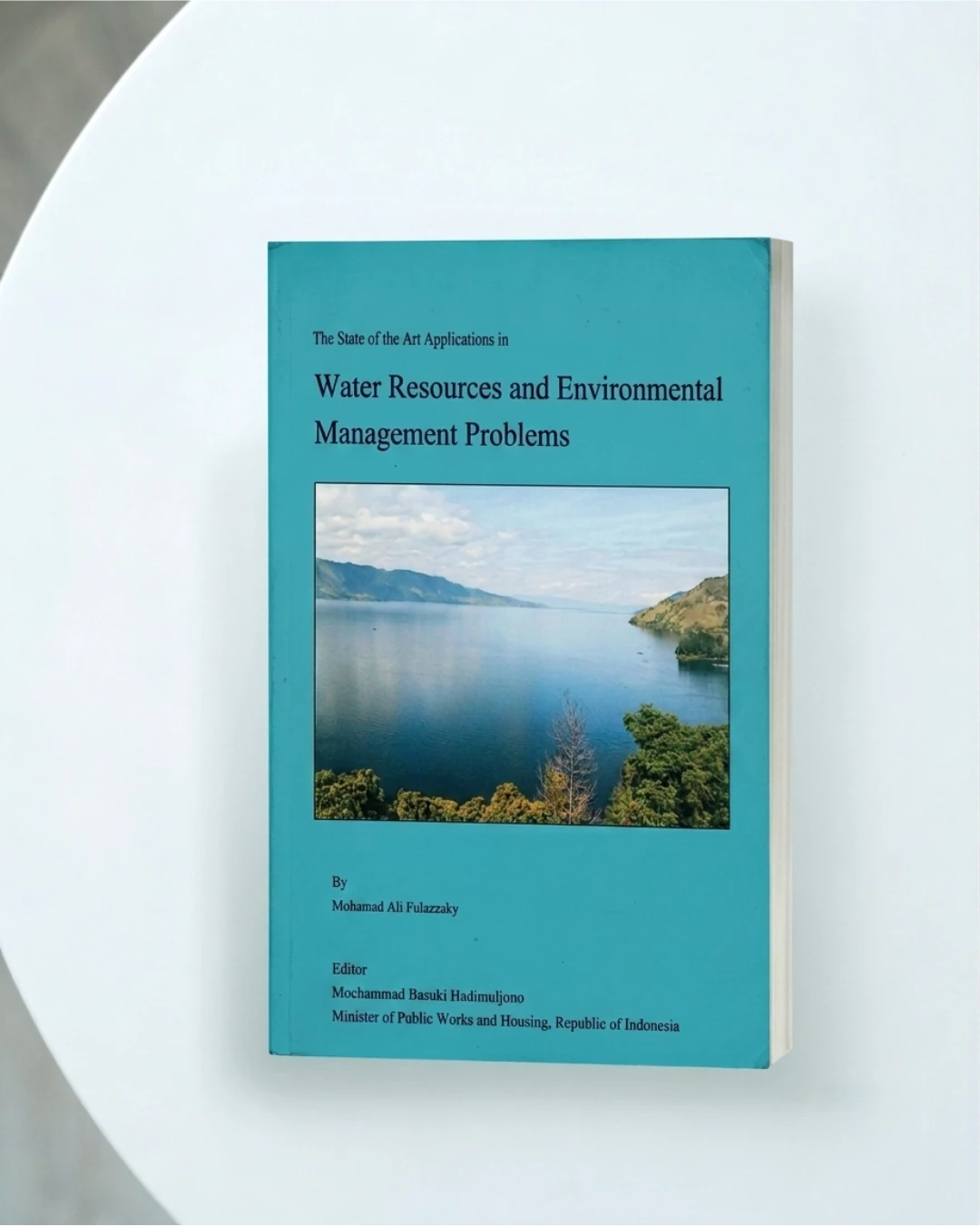 The state of the art applications in water resources and enviromental management problems